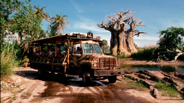 #NicheParent14 attendees to Attend A Sunset Kilimanjaro Safari