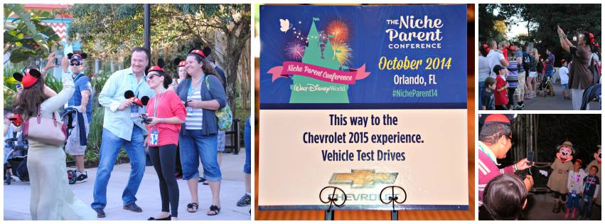 2014 Milestones for the Niche Parent Community