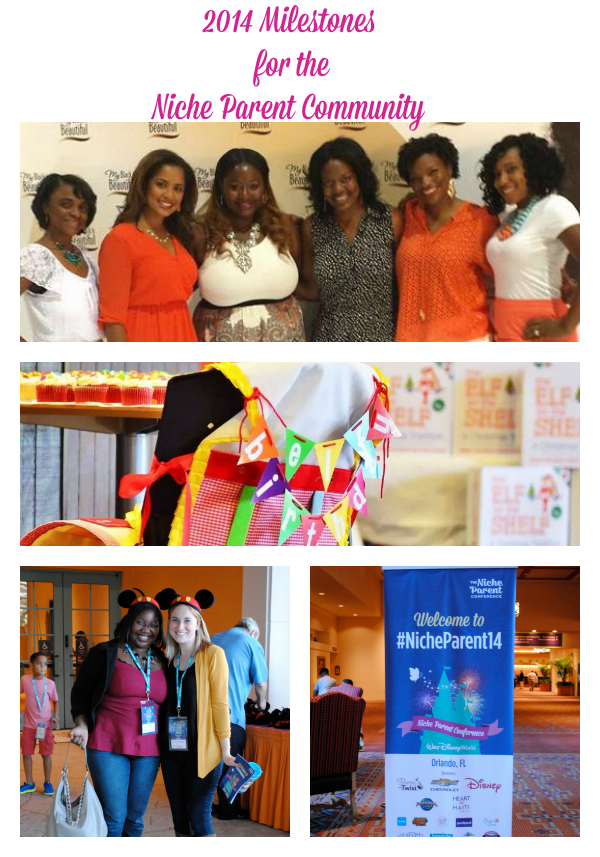 2014 Milestones for the Niche Parent Community ~ TheNicheParent.com